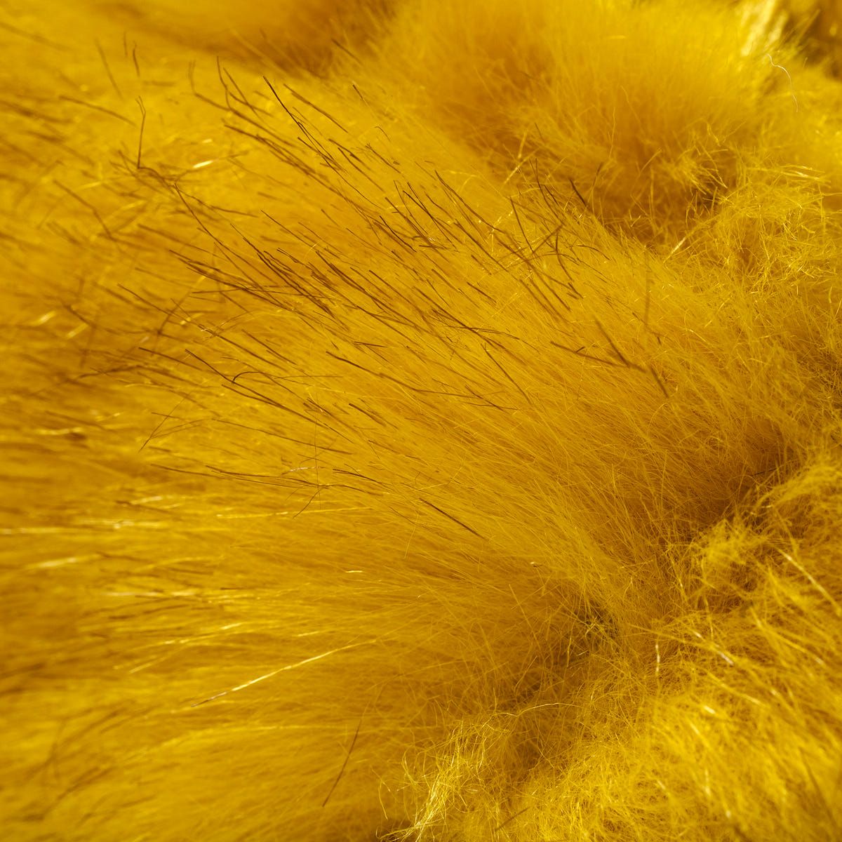 Gully Number 001 “Migration” - Golden Bird - image 3