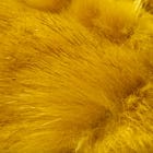 Gully Number 001 “Migration” - Golden Bird view 3
