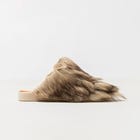 Gully Number 001 “Migration” - Sparrow view 1