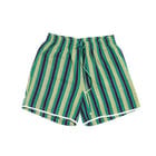 Kantha Stripes Shorts view 1
