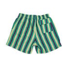 Kantha Stripes Shorts view 2