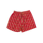 Brocade Silk Shorts view 2