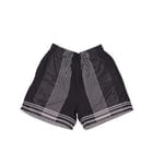 Silver Zari Stripes Shorts view 1