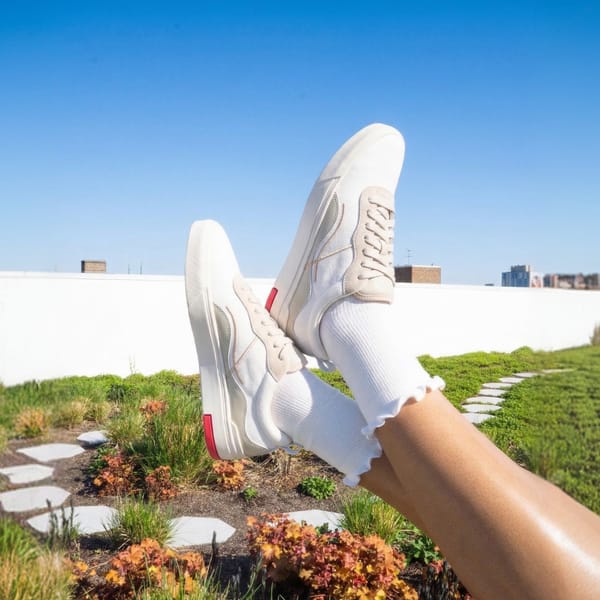 Ludic — Enhanced Canvas Low