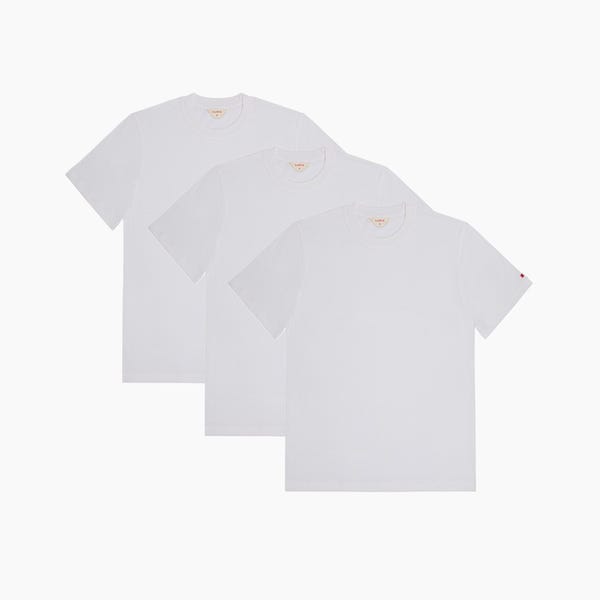 Ludic — Core T