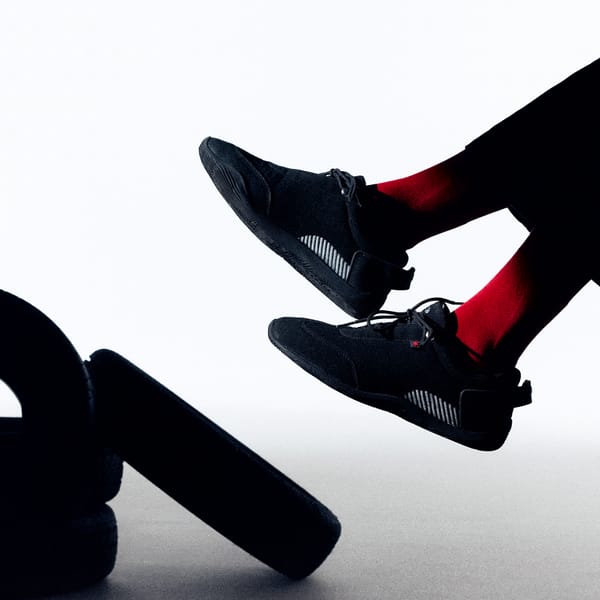 Ludic — DS Moto