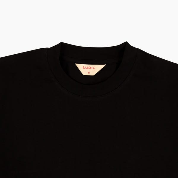 Ludic — Core T