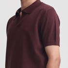 Canopy Striped Polo- Dark Magenta view 5