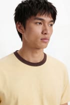 Sun and Surf Tee - Brown Rib view 12
