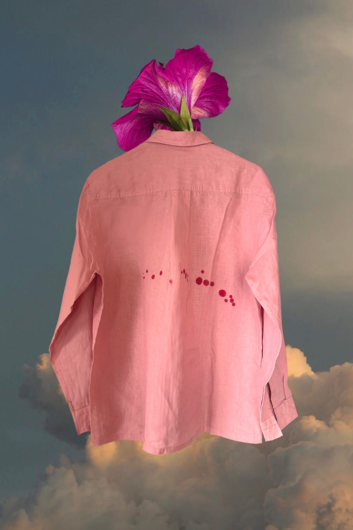 The Hibiscus - image 2