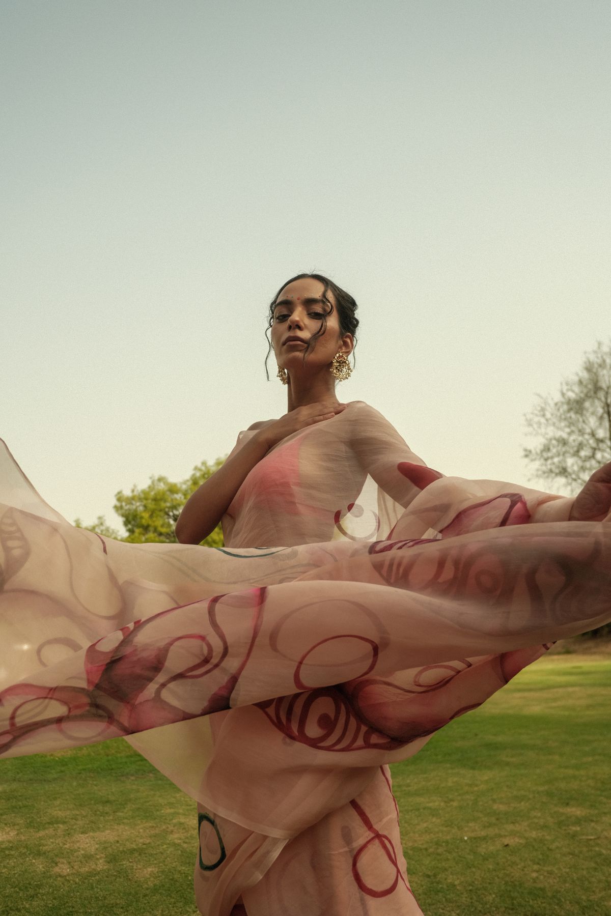 Hibiscus Organza Saree - image 2