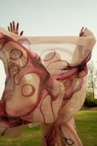 Hibiscus Organza Saree view 5