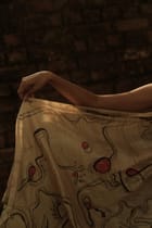 Emotions Saree view 4