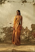 Bronze Goddess Saree view 1