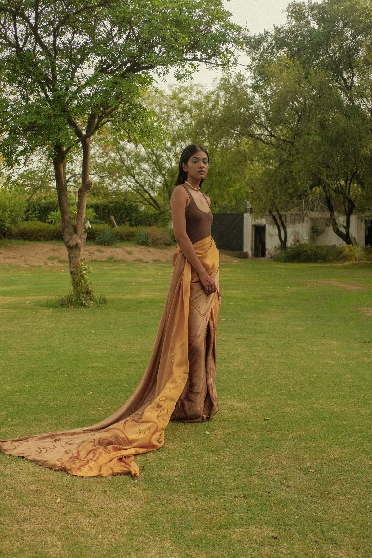 Bronze Goddess Saree - image 3