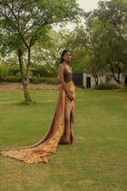 Bronze Goddess Saree view 3