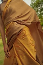 Bronze Goddess Saree view 4