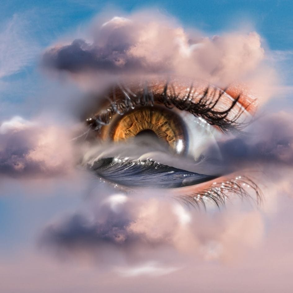 EYE SEA PRINT - image 2