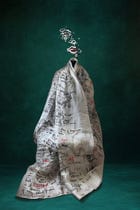 Journal Saree view 1