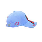 SAGE OZO Cap view 3