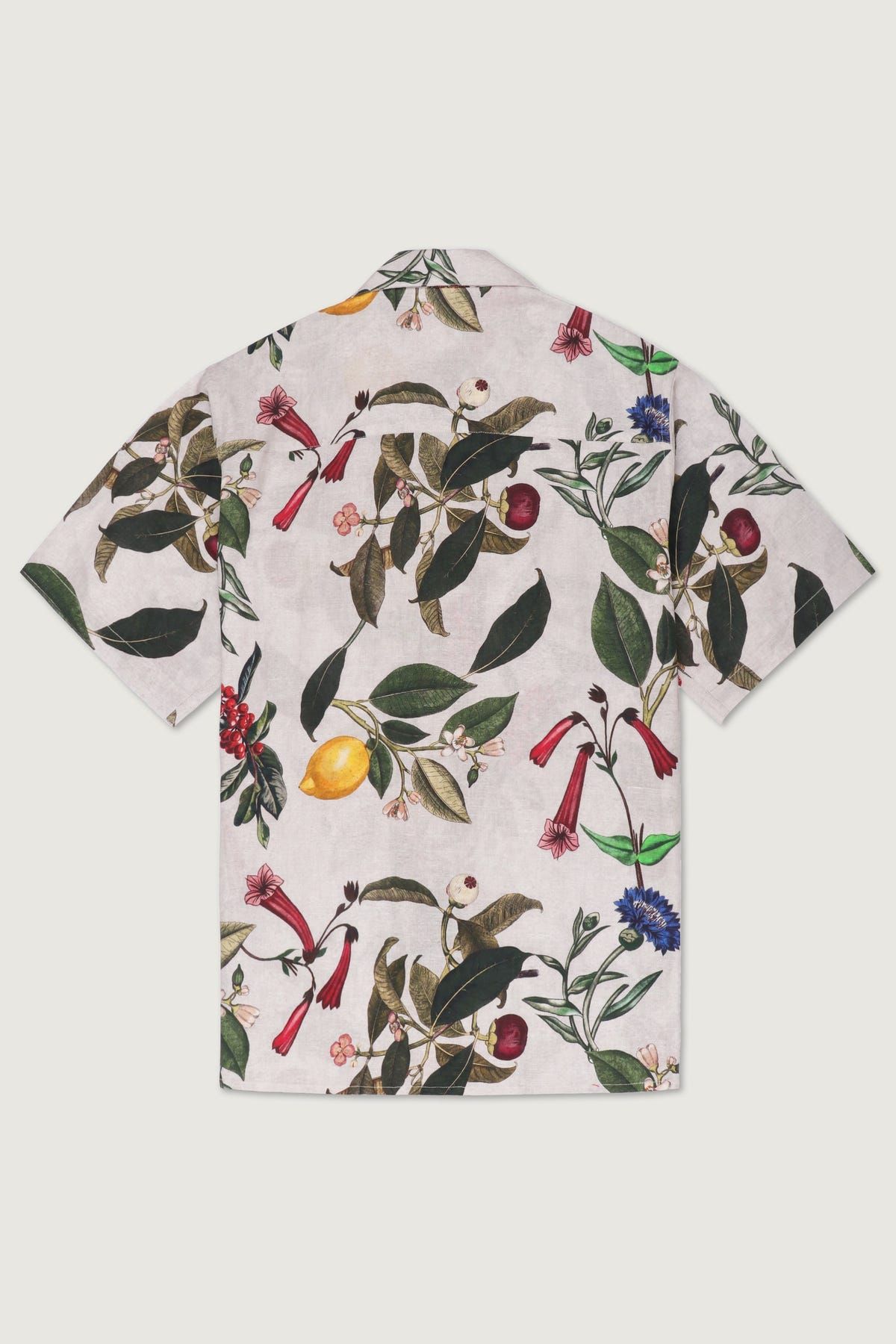 Botanical print shirt- Grey - image 2