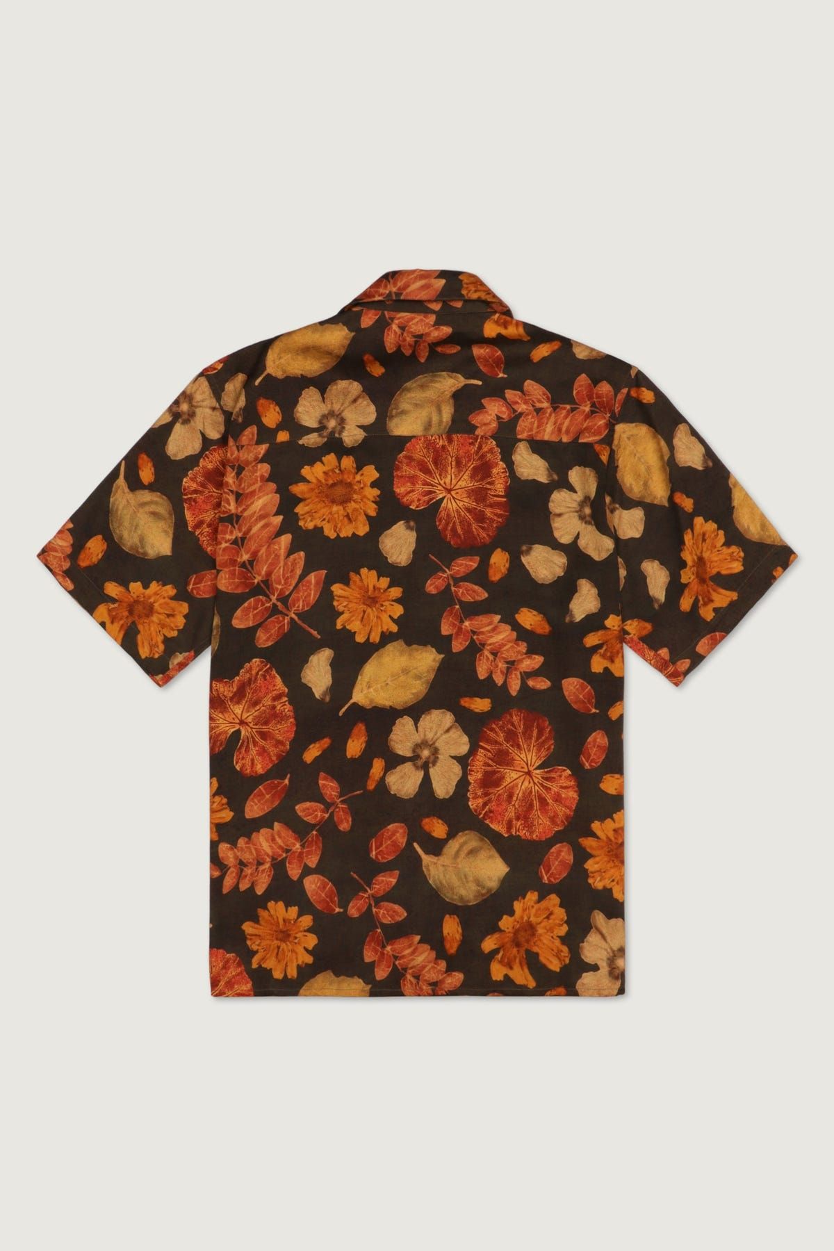 Botanical print shirt- Black - image 3