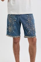 Celebration embroidered denim shorts view 2