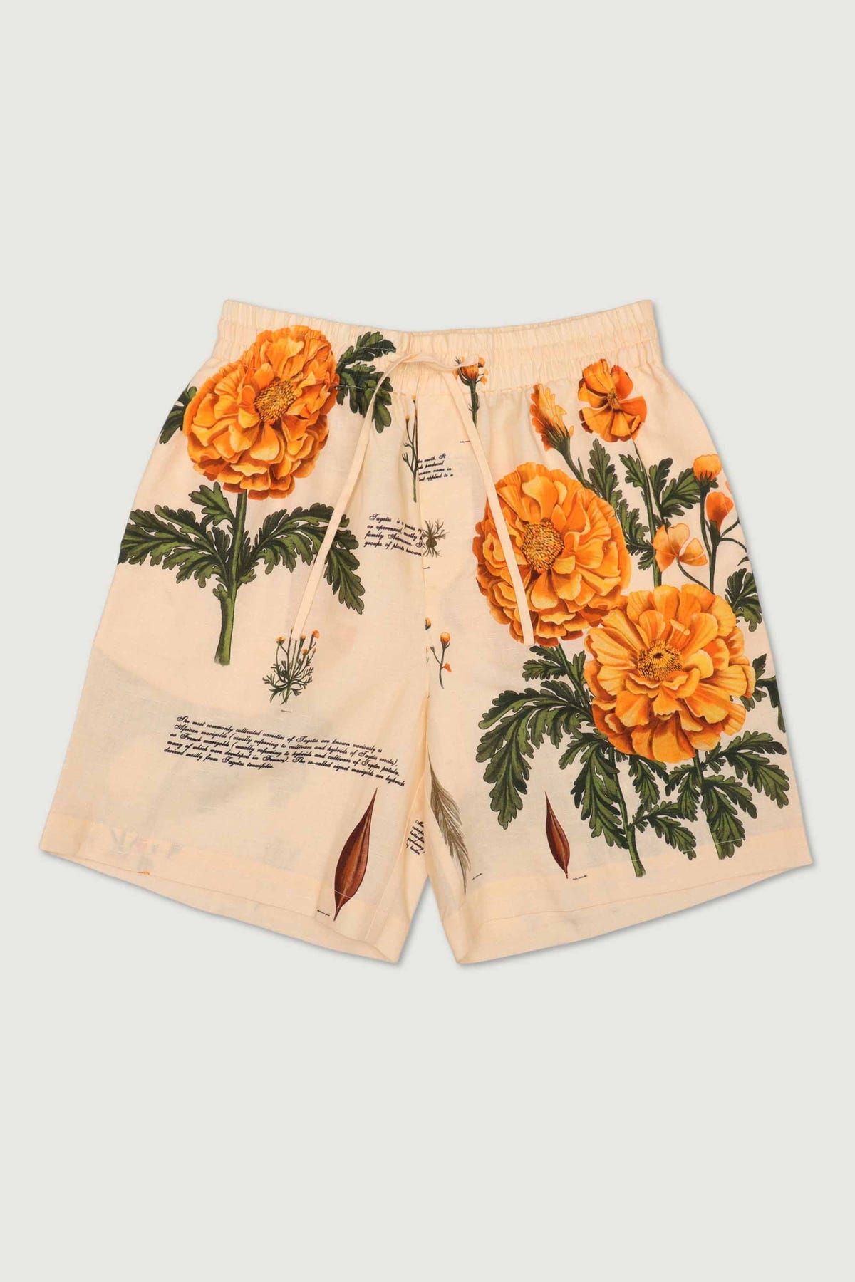 "Notes on marigold " shorts - image 1