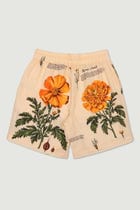 "Notes on marigold " shorts view 2