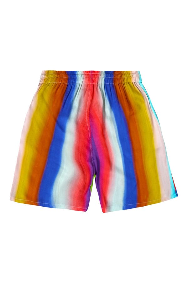 Perte D'ego — Paint stroke shorts