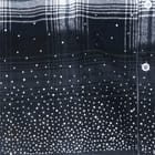 Stardust Checkered Shirt (60/60) view 5