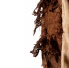 Brown Chaar Palla Shirt view 6
