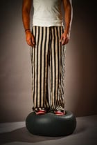 Hira Stripped Pants view 3