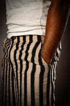 Hira Stripped Pants view 5