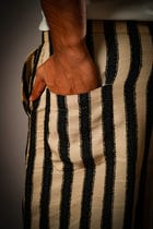 Hira Stripped Pants view 6