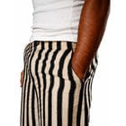 Hira Striped Pants view 3