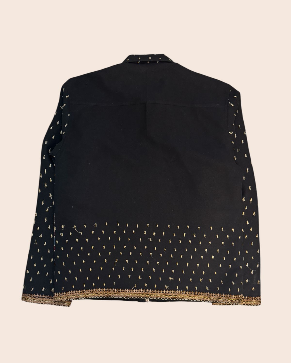 Aari Embroidered Jacket - image 3