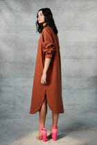 Cinnamon Linen Shirt Dress view 5