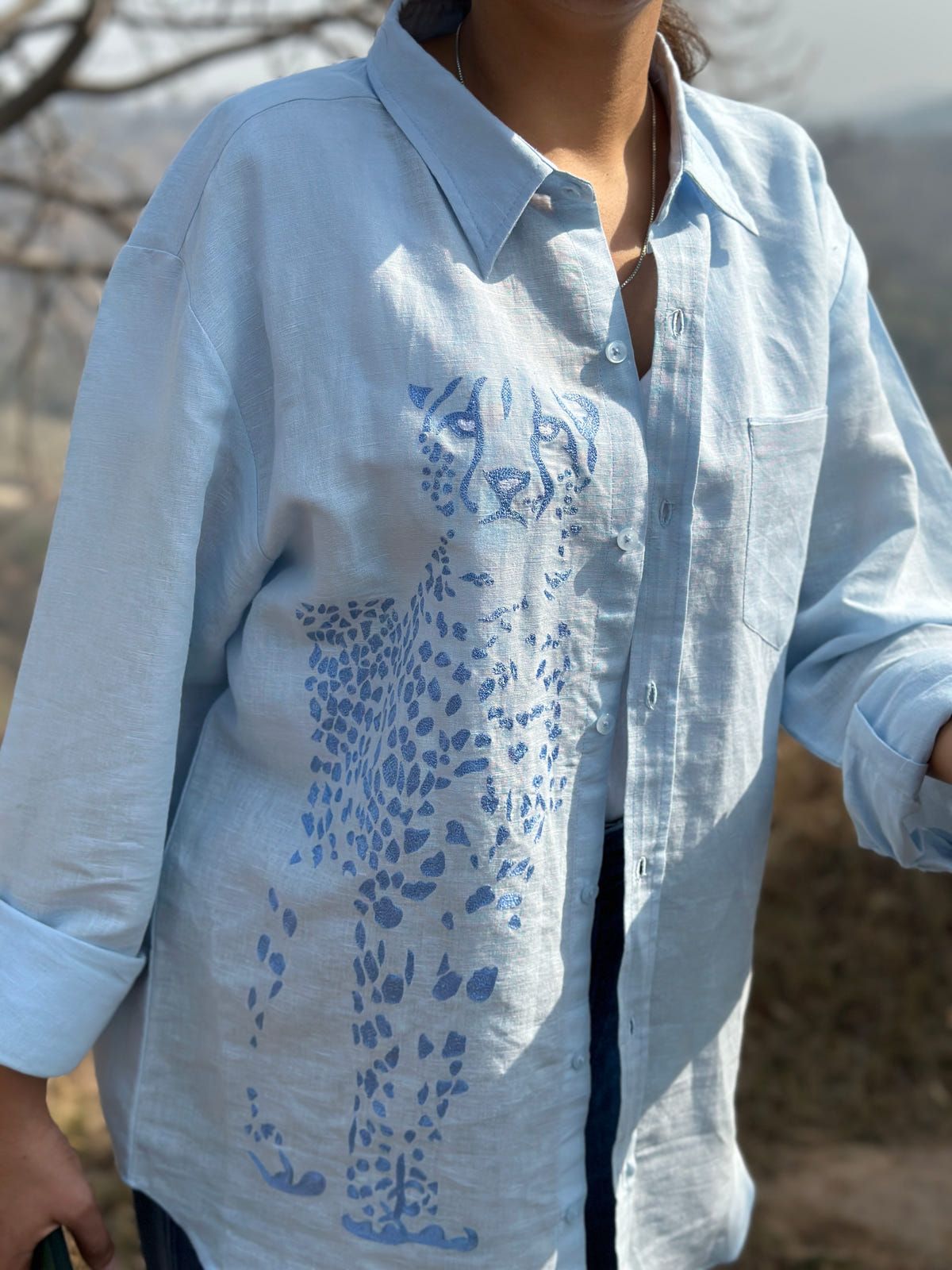 Shiraz - image 2