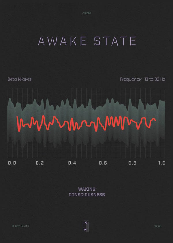 Biskit — Awake State