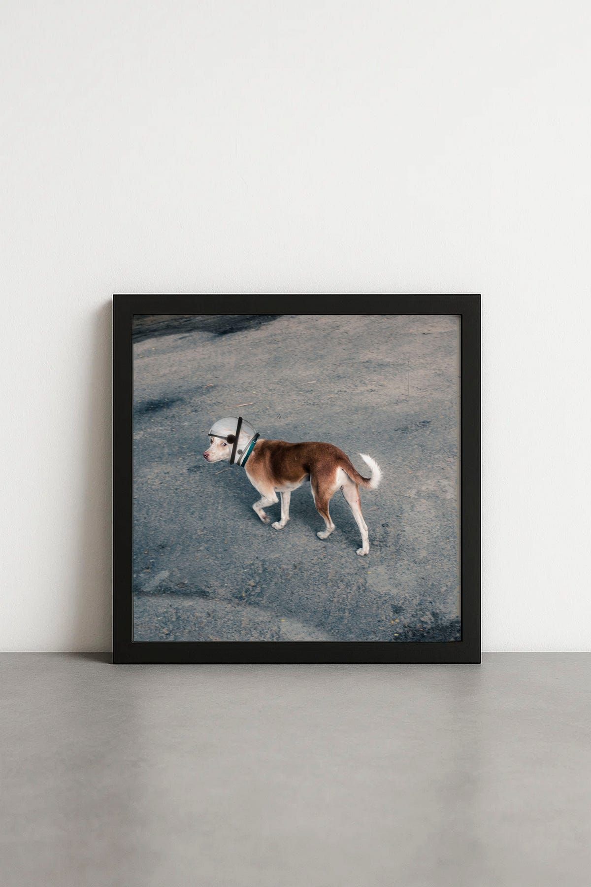 Space Dog - image 2
