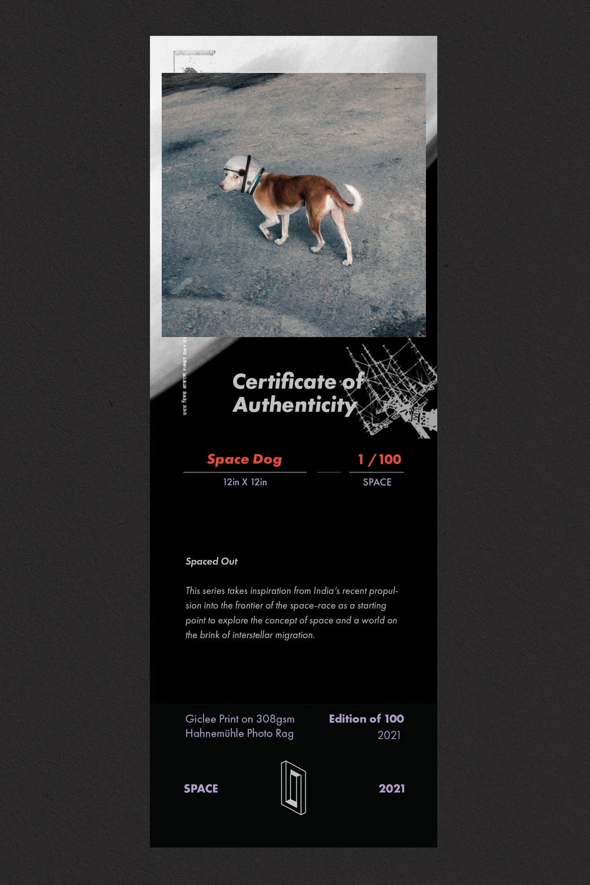 Space Dog - image 3