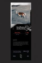 Space Dog view 3