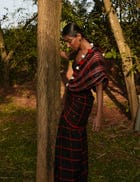 Khet Structure Sari Gown view 7