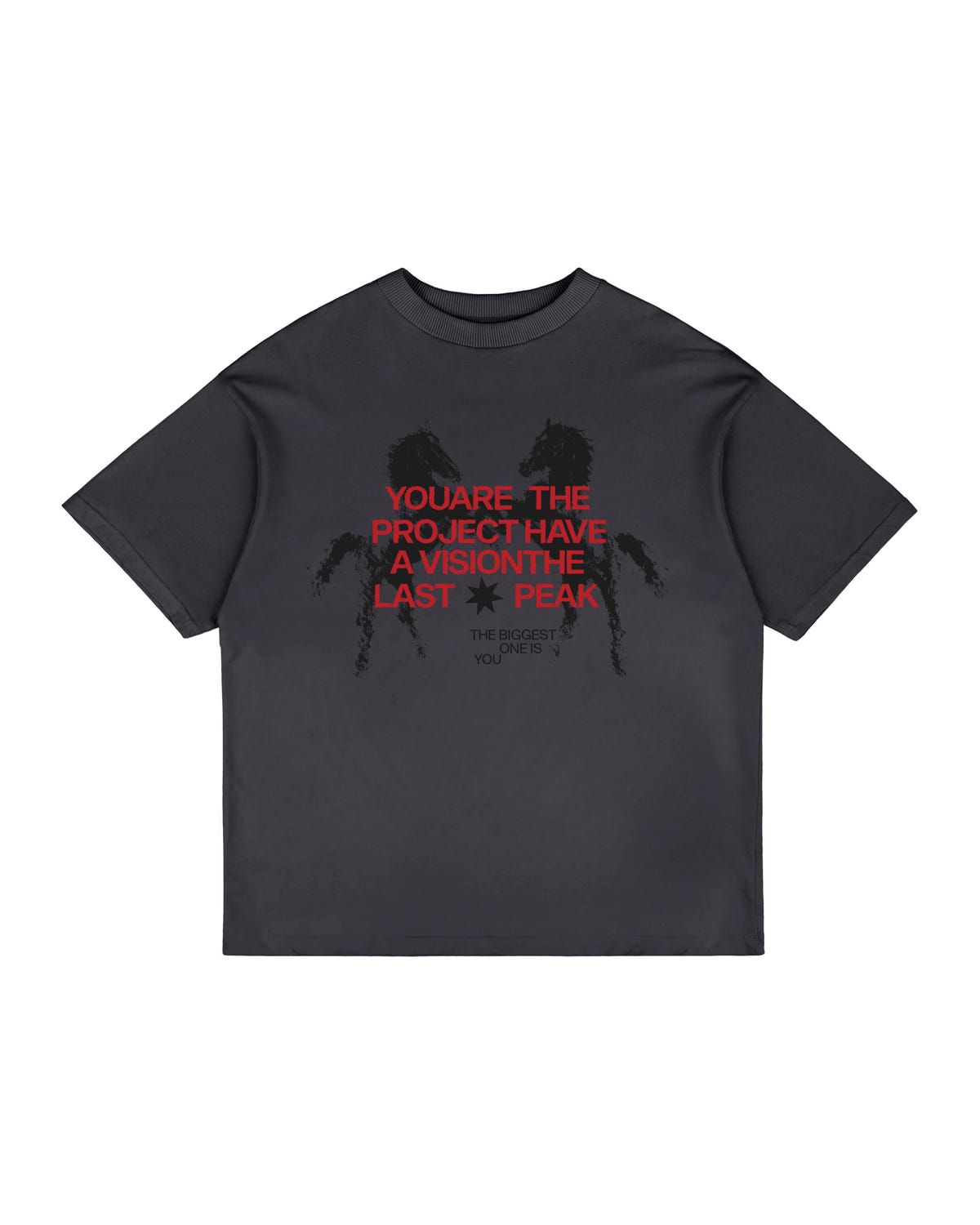 GRAPHITE ESSENTIAL T-SHIRT (Unisex) - image 1