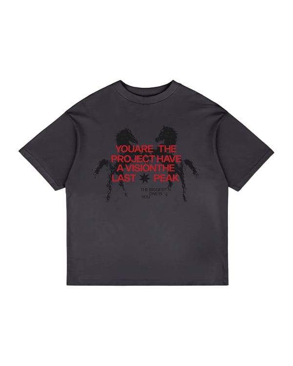The Last Peak — GRAPHITE ESSENTIAL T-SHIRT (Unisex)