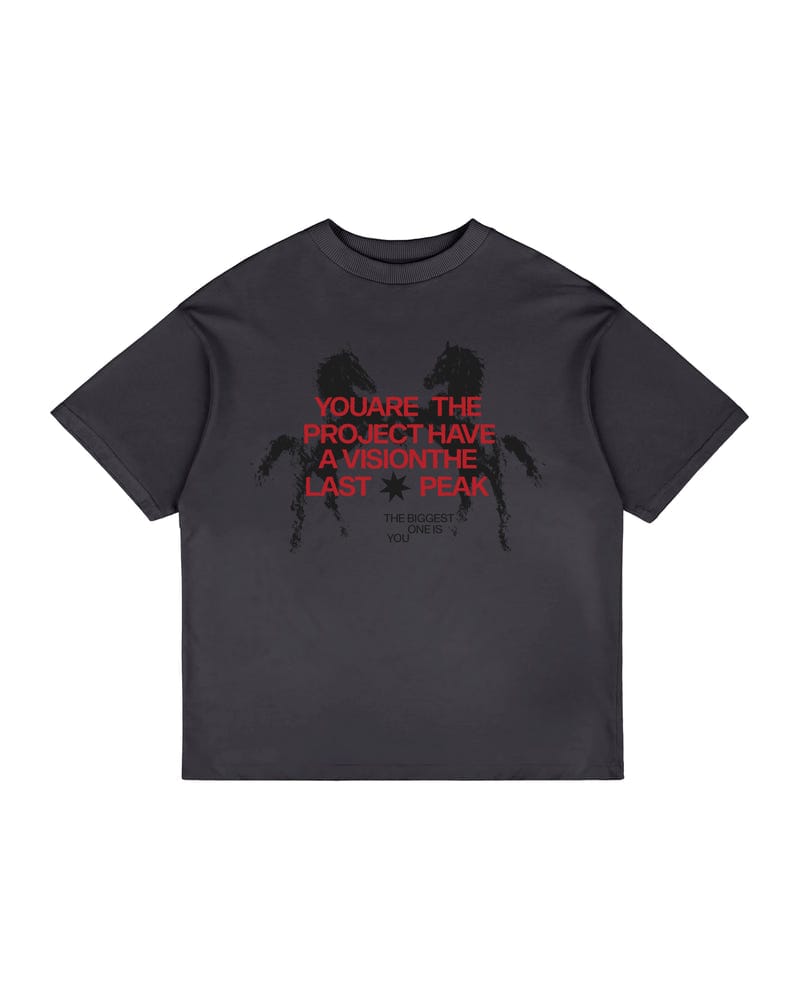 GRAPHITE ESSENTIAL T-SHIRT (Unisex)