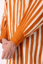 Tori Rust Striped Shirt view 6