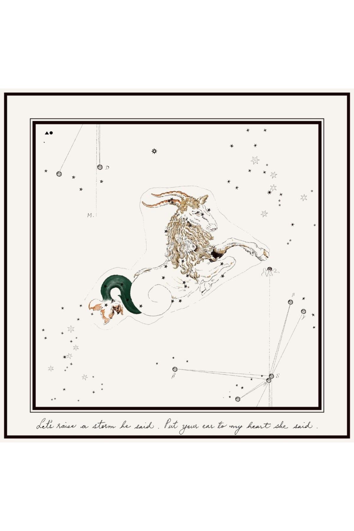 Capricorn Printed Satin Scarf - image 2