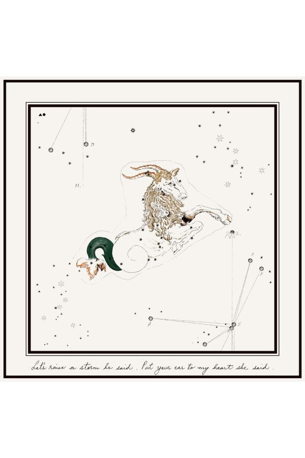 The Summer House — Capricorn Printed Satin Scarf